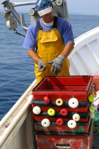 Un pêcheur prépare la ligne