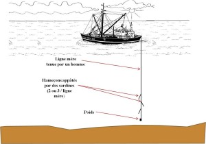 La Palangre jusqu'aux années 60