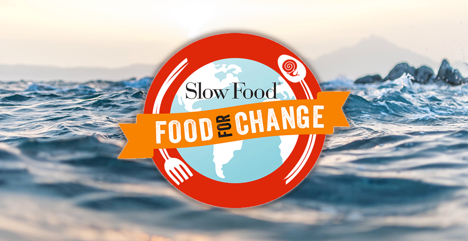 Le merlu de ligne de St Jean de Luz reconnu par la fondation SLOWFOOD