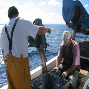 campagne de pêche 2019